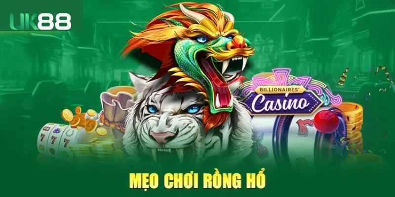 Bỏ túi mẹo chơi rồng hổ cực hay từ chuyên gia