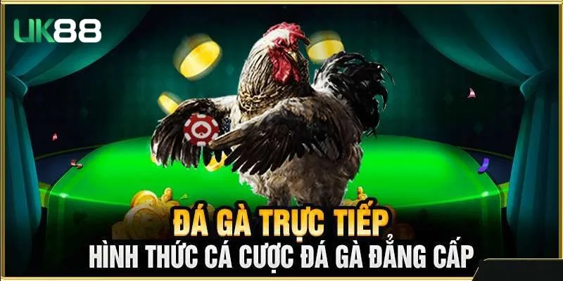 Thế nào là trực tiếp đá gà bình luận?